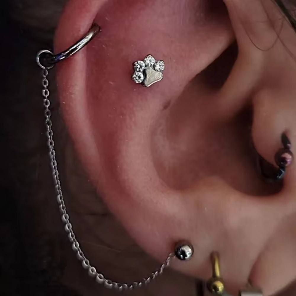 Cadena de titanio para nariz,  - Body Jewelry Ear Piercing reseña y precio